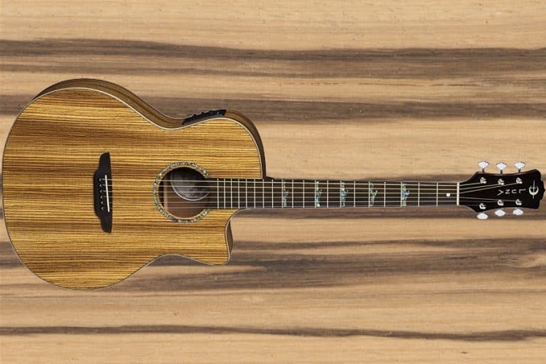 Is Zebrawood A Good Guitar Tonewood? Electric, Acoustic & Bass