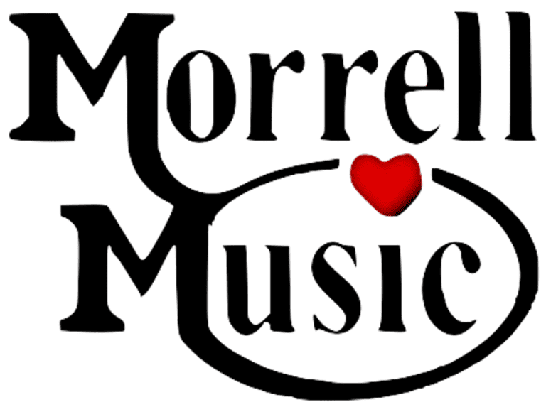 Top 11 Best Steel Guitar Brands On The Market 2024