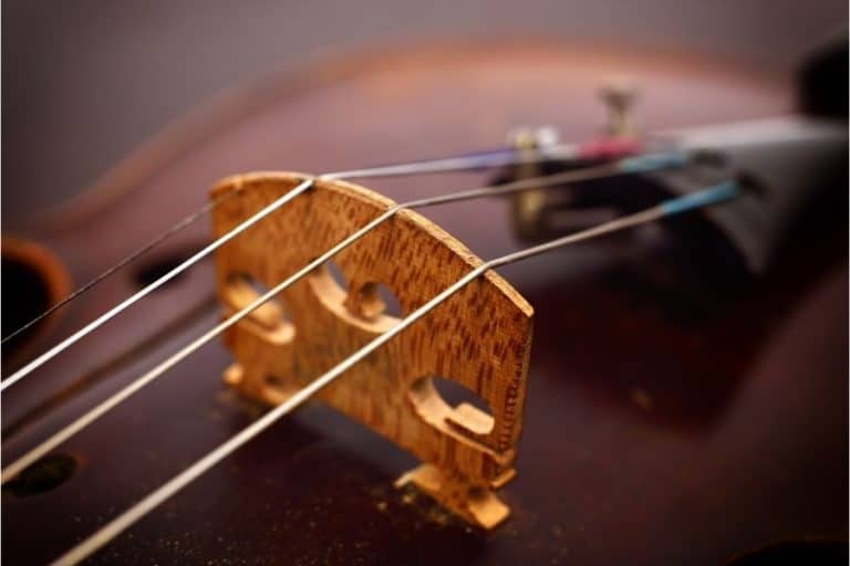 Why Do Violin Strings Break? 6 Ways To Prevent It My New Microphone
