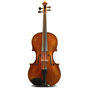 Top 11 Best Viola Brands On The Market 2024