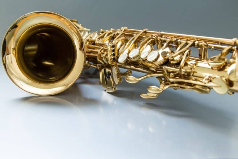 What Products Can Be Used To Polish A Saxophone? My New Microphone