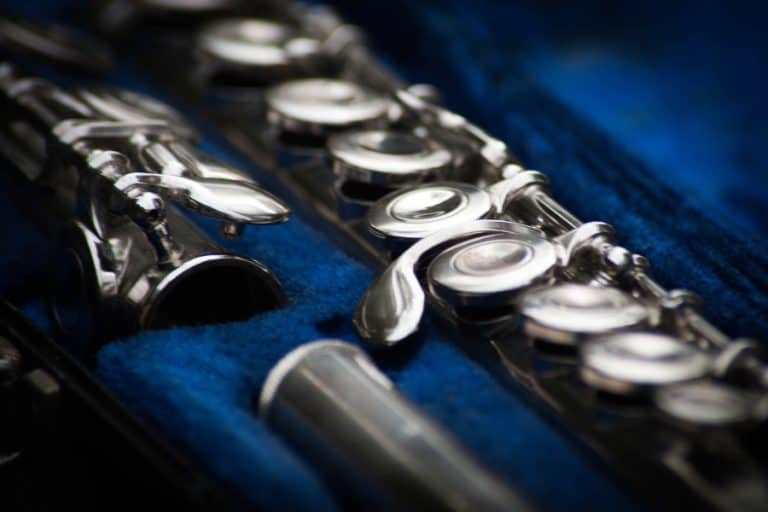 How Many Holes Does A Flute Have? (Different Flute Types) My New