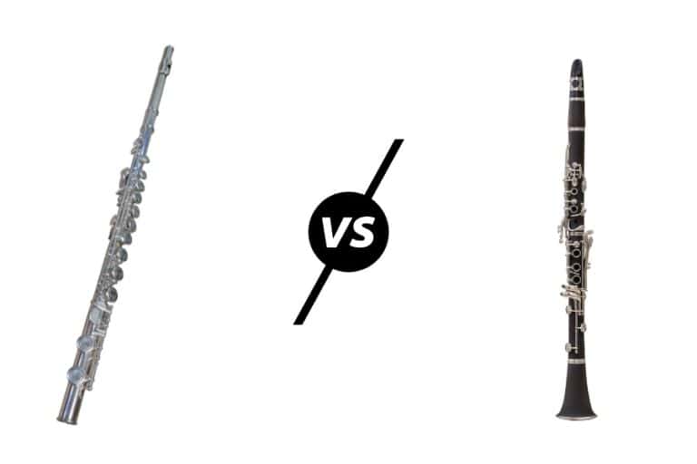 What Are The Differences Between Flute & My New Microphone